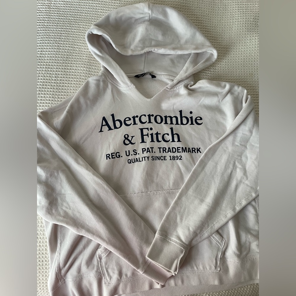 Abercrombie and Fitch Sweatshirt